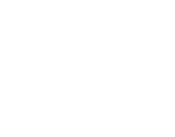 Avivo AR23